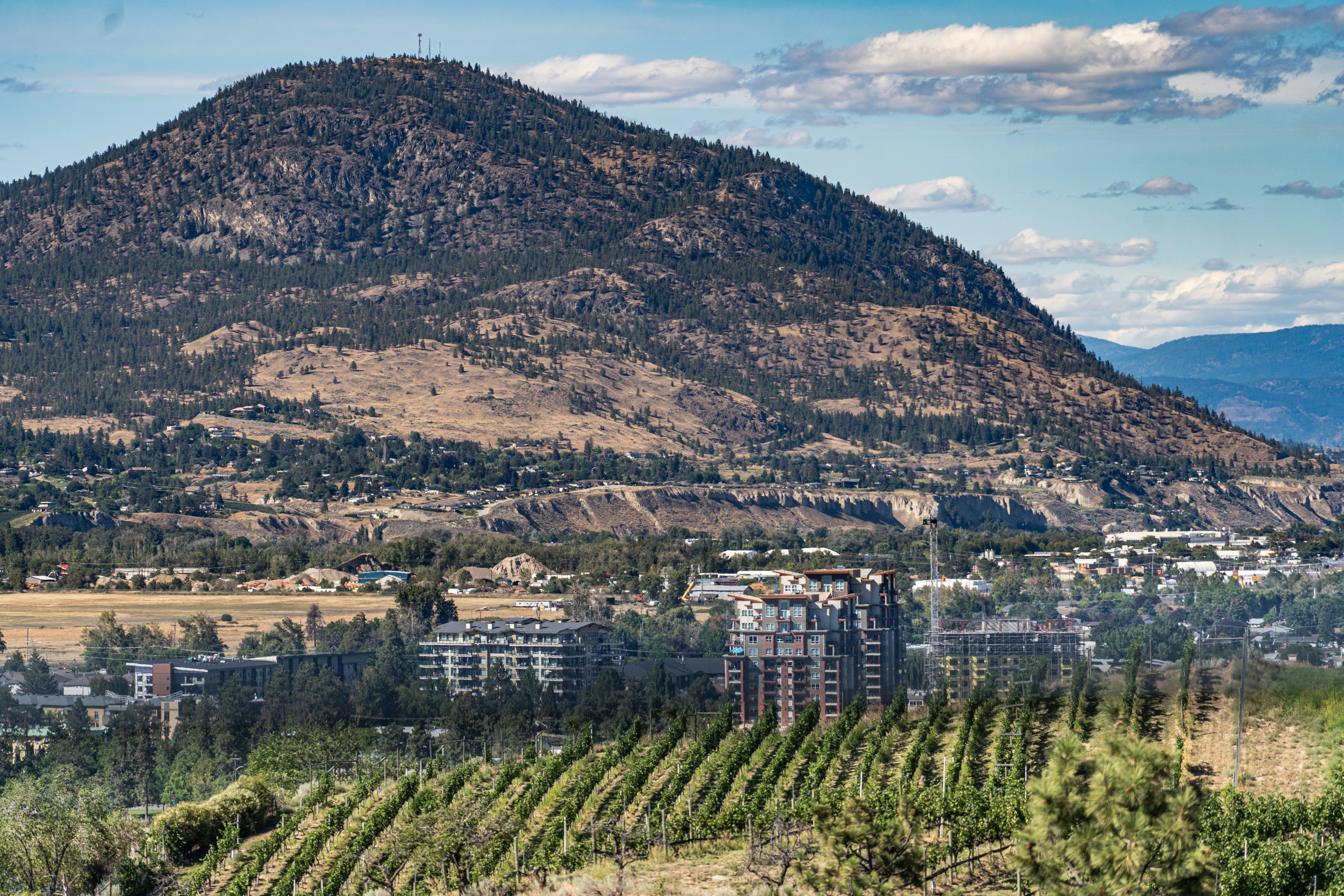 Penticton renovation contractor services